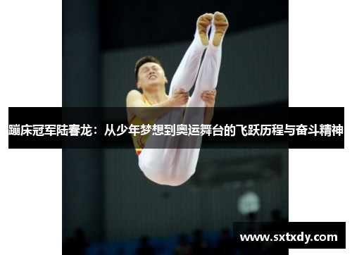 蹦床冠军陆春龙:从少年梦想到奥运舞台的飞跃历程与奋斗精神