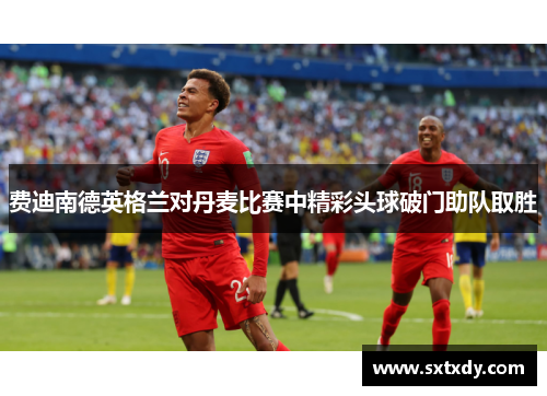 费迪南德英格兰对丹麦比赛中精彩头球破门助队取胜