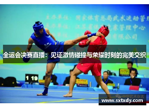 全运会决赛直播:见证激情碰撞与荣耀时刻的完美交织