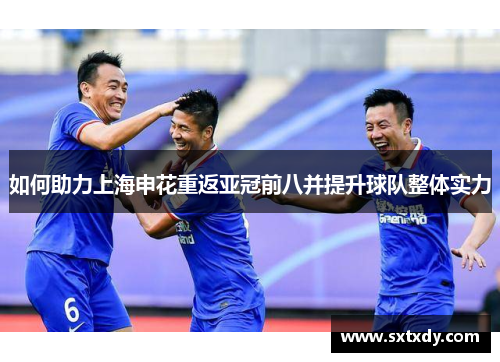 如何助力上海申花重返亚冠前八并提升球队整体实力