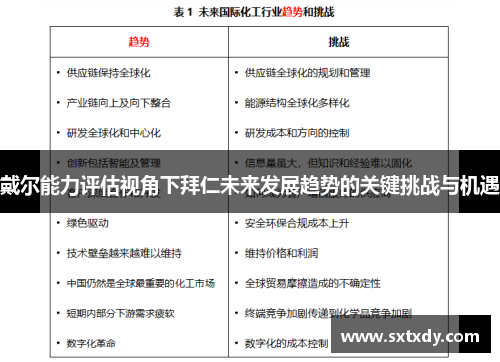 戴尔能力评估视角下拜仁未来发展趋势的关键挑战与机遇