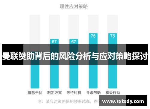 曼联赞助背后的风险分析与应对策略探讨