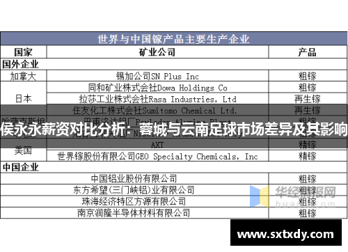 侯永永薪资对比分析：蓉城与云南足球市场差异及其影响