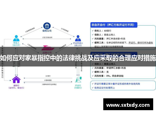 如何应对家暴指控中的法律挑战及应采取的合理应对措施