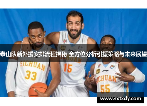 泰山队新外援安排流程揭秘 全方位分析引援策略与未来展望