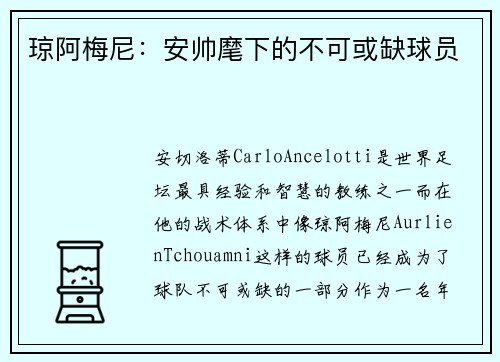 琼阿梅尼：安帅麾下的不可或缺球员