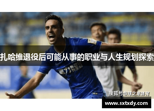 扎哈维退役后可能从事的职业与人生规划探索